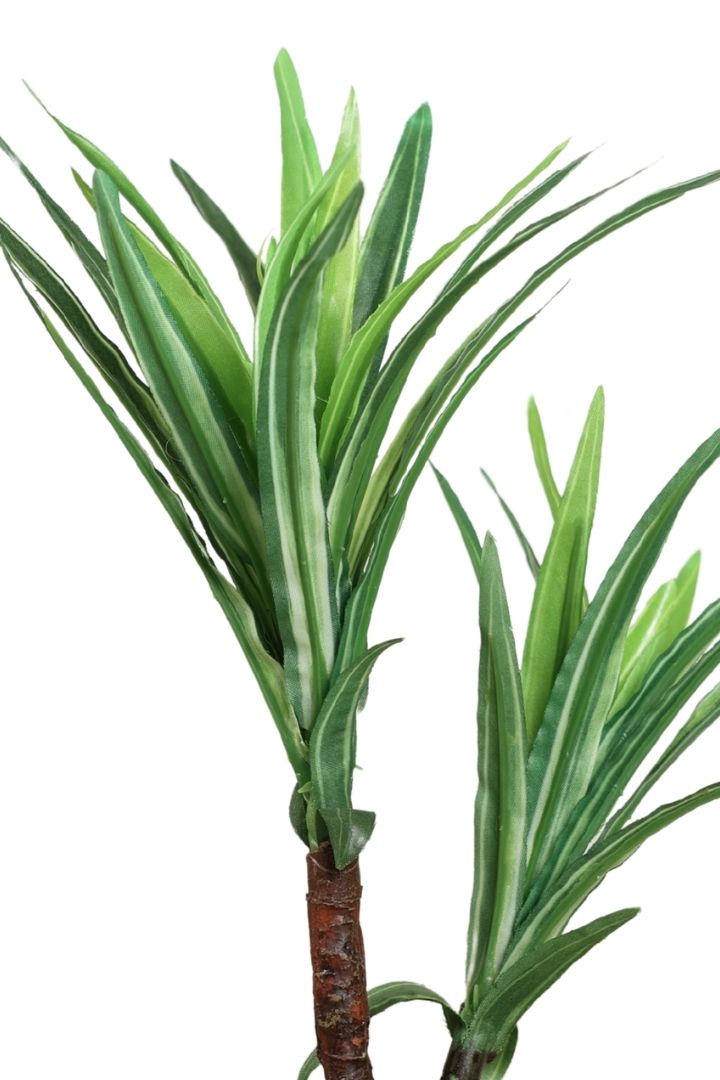 Artificial Bonsai Tree – A Touch of  Minus the Hassle