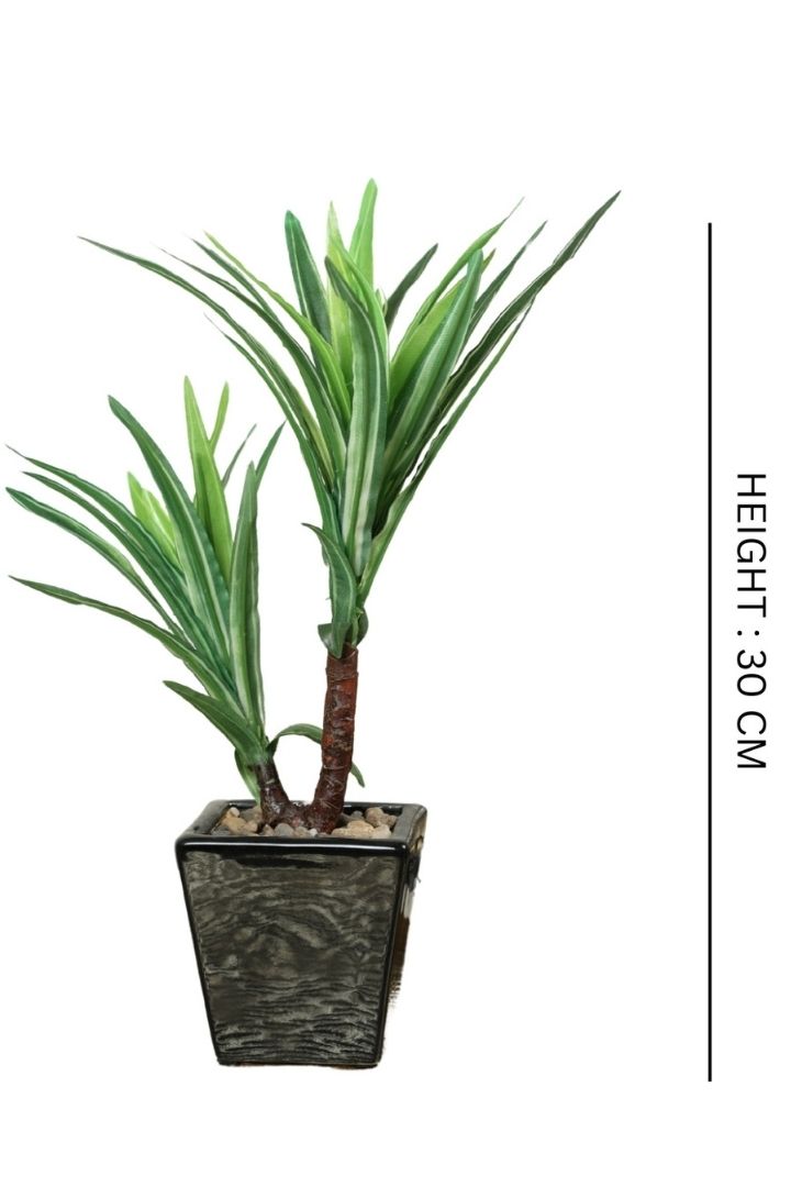 Artificial Bonsai Tree – A Touch of  Minus the Hassle