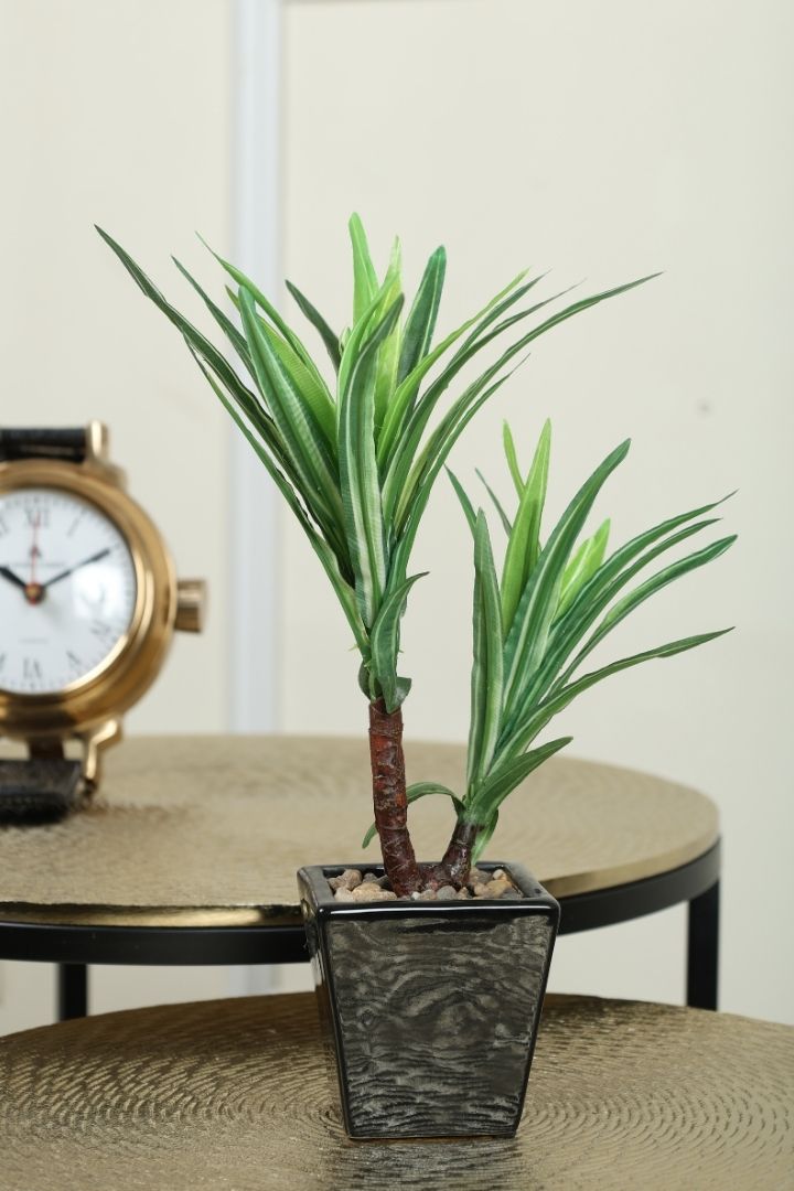 Artificial Bonsai Tree – A Touch of  Minus the Hassle