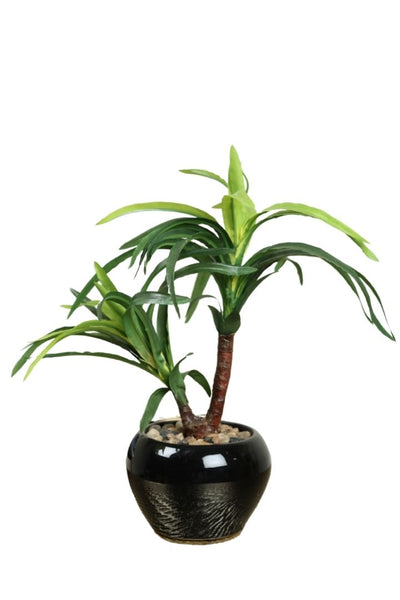Artificial Small Size Bonsai Tree – Nature’s Charm