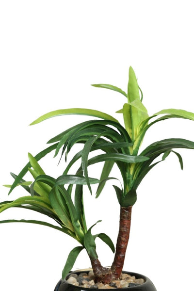 Artificial Small Size Bonsai Tree – Nature’s Charm