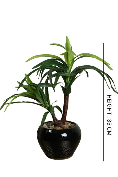 Artificial Small Size Bonsai Tree – Nature’s Charm