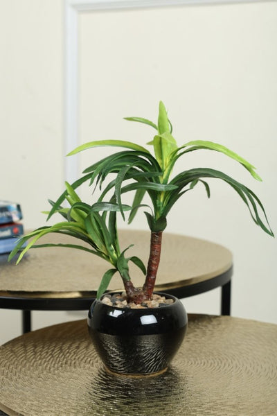 Artificial Small Size Bonsai Tree – Nature’s Charm