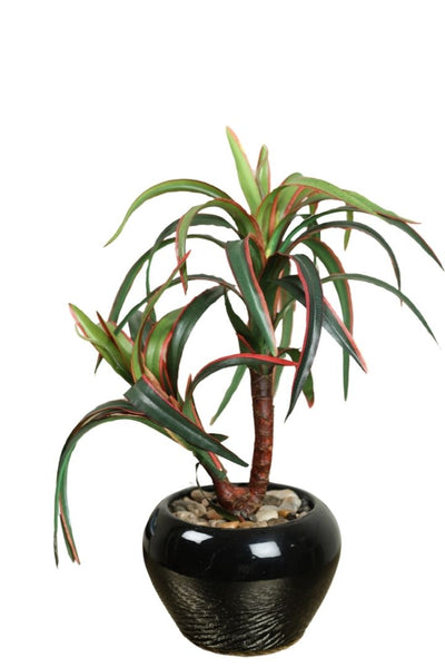 Artificial Small Size Bonsai Tree – Nature’s Charm
