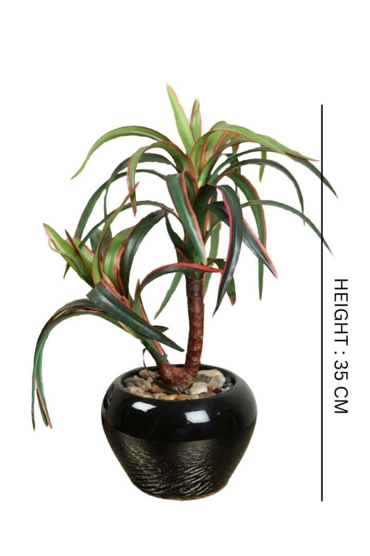 Artificial Small Size Bonsai Tree – Nature’s Charm