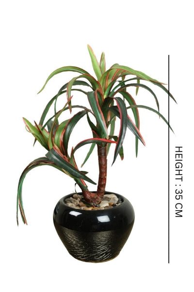 Artificial Small Size Bonsai Tree – Nature’s Charm