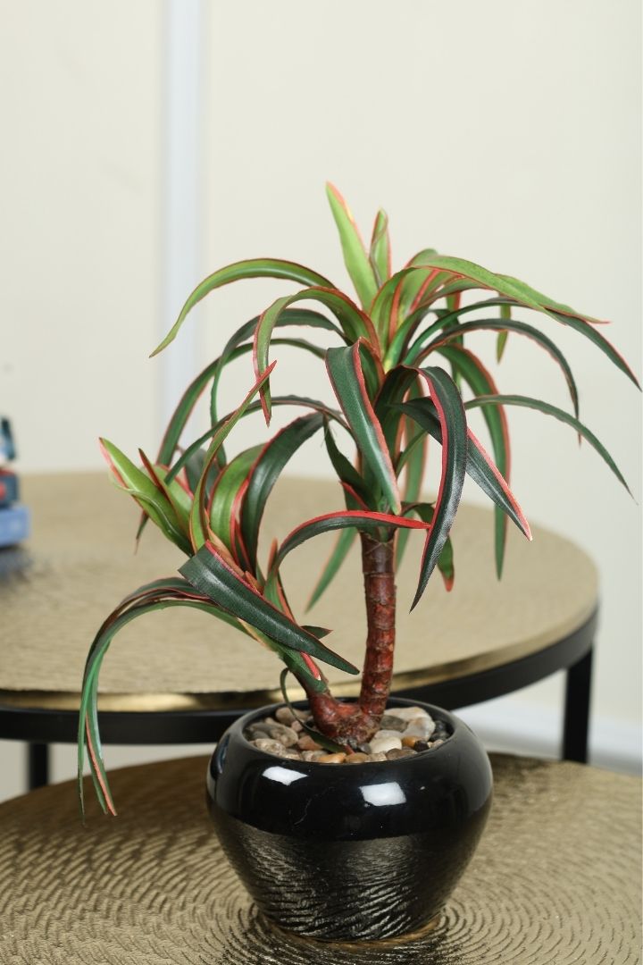 Artificial Small Size Bonsai Tree – Nature’s Charm