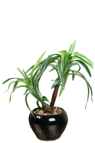 Artificial Small Size Bonsai Tree – Nature’s Charm