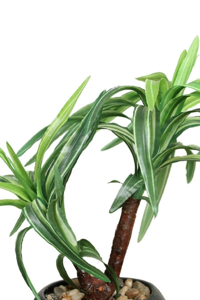 Artificial Small Size Bonsai Tree – Nature’s Charm