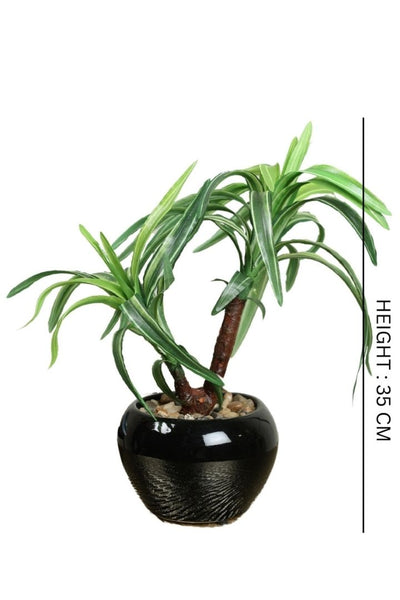 Artificial Small Size Bonsai Tree – Nature’s Charm