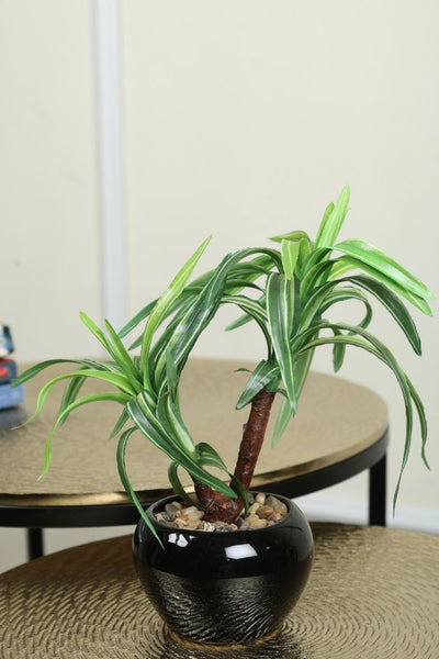 Artificial Small Size Bonsai Tree – Nature’s Charm
