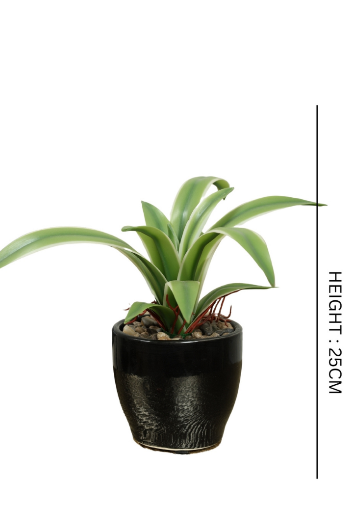 Real Touch Artificial Bonsai – Nature’s Beauty Perfected