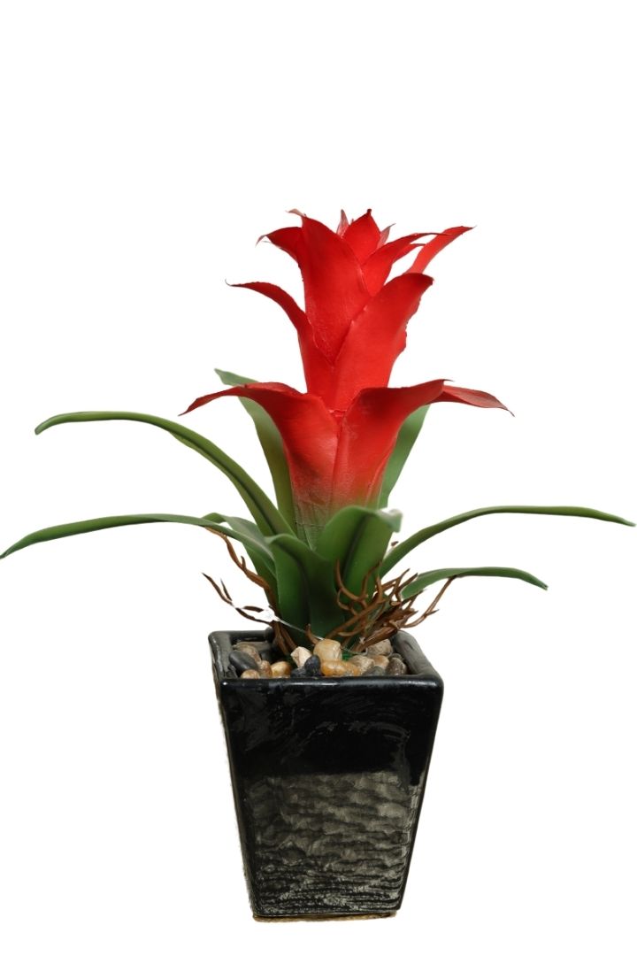 Vibrant Artificial Bonsai – A Splash of Color for Your Space