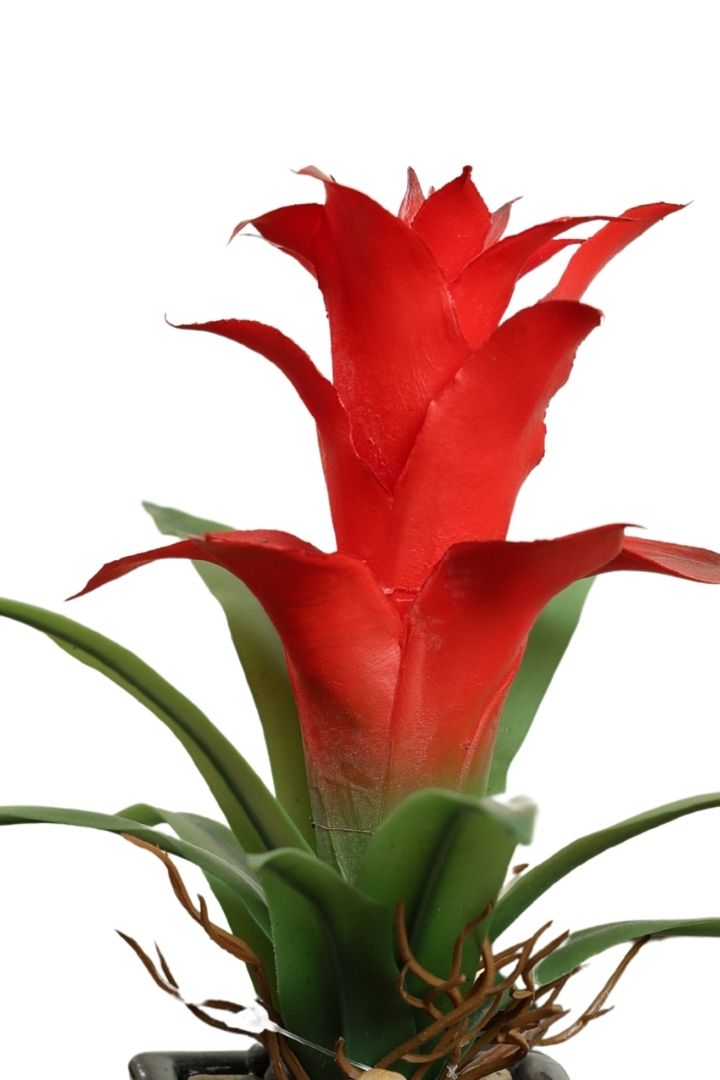 Vibrant Artificial Bonsai – A Splash of Color for Your Space