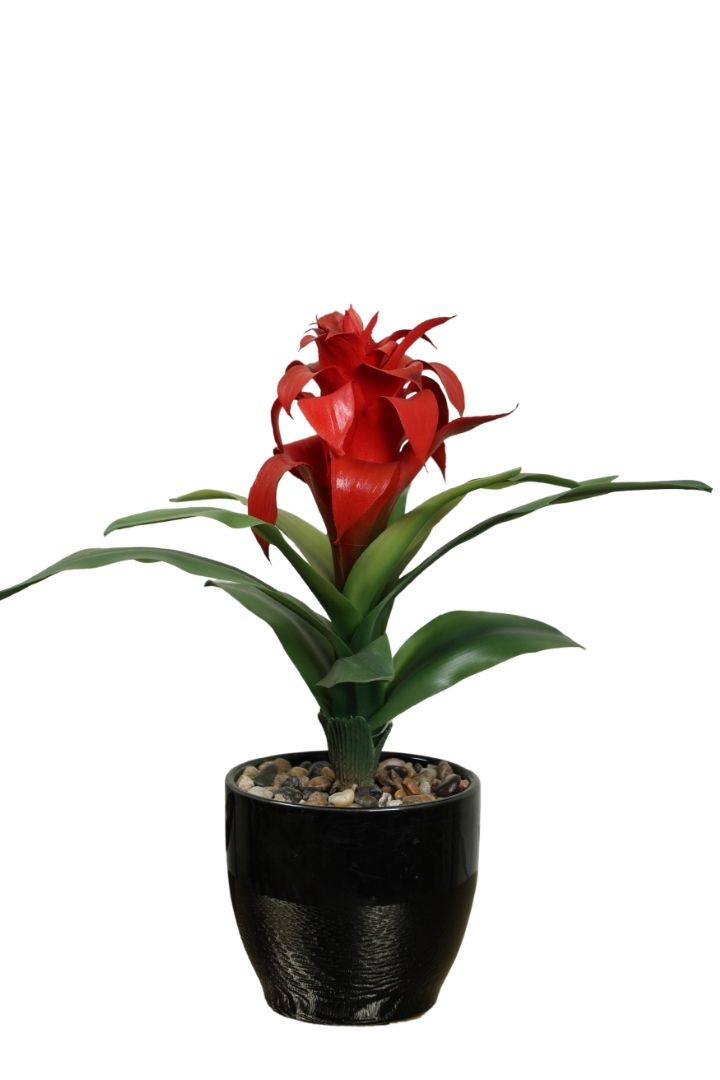 Natural Beauty of a Blooming Artificial Bonsai