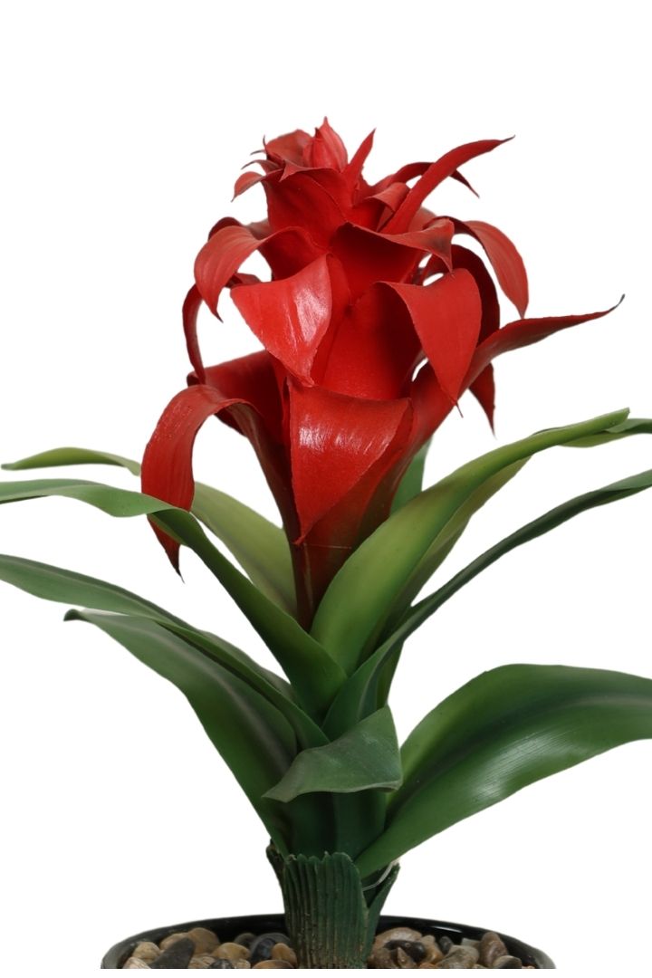 Natural Beauty of a Blooming Artificial Bonsai