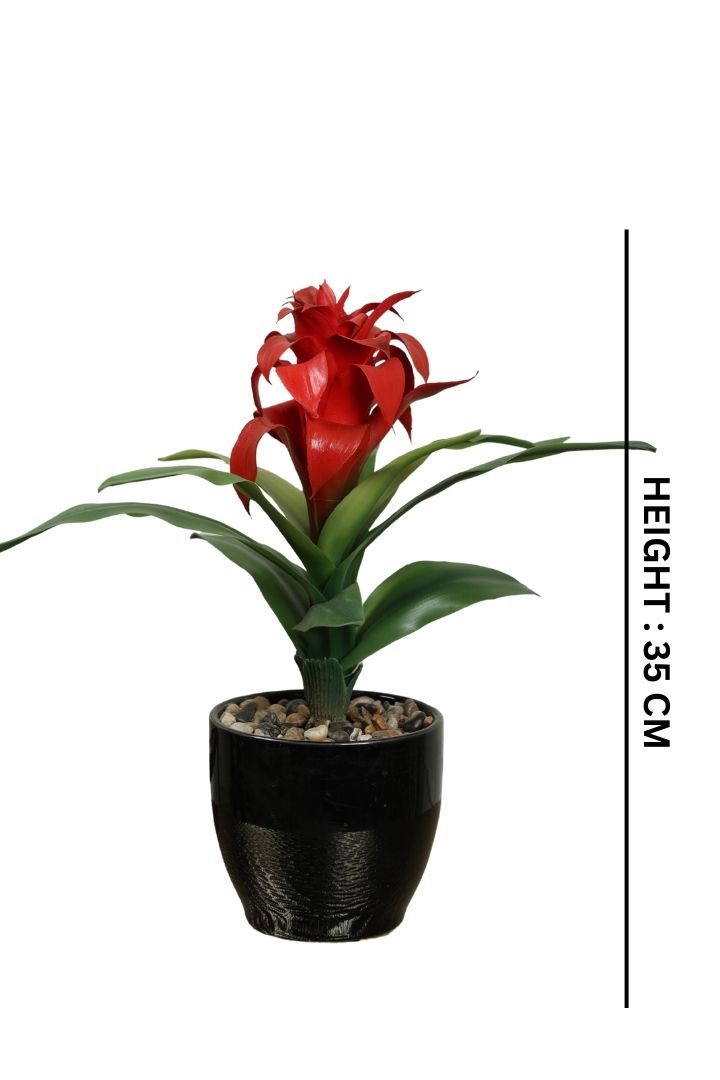 Natural Beauty of a Blooming Artificial Bonsai