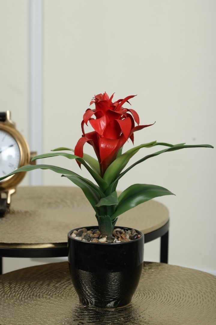 Natural Beauty of a Blooming Artificial Bonsai