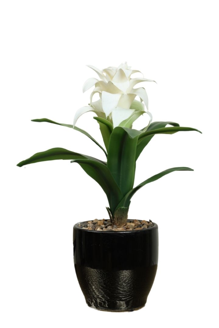 Natural Beauty of a Blooming Artificial Bonsai