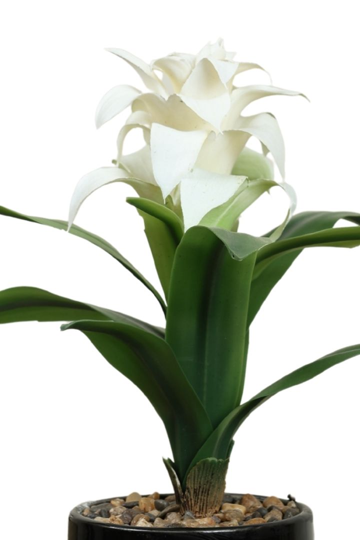 Natural Beauty of a Blooming Artificial Bonsai