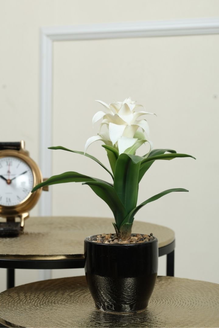Natural Beauty of a Blooming Artificial Bonsai
