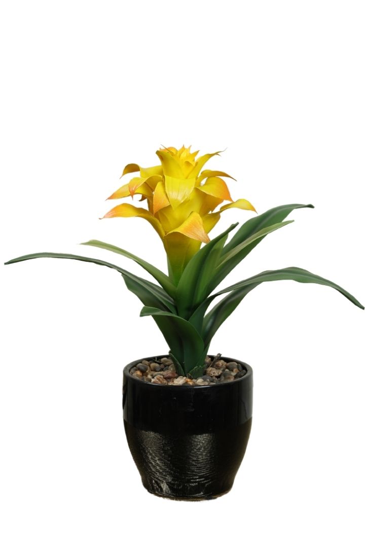 Natural Beauty of a Blooming Artificial Bonsai