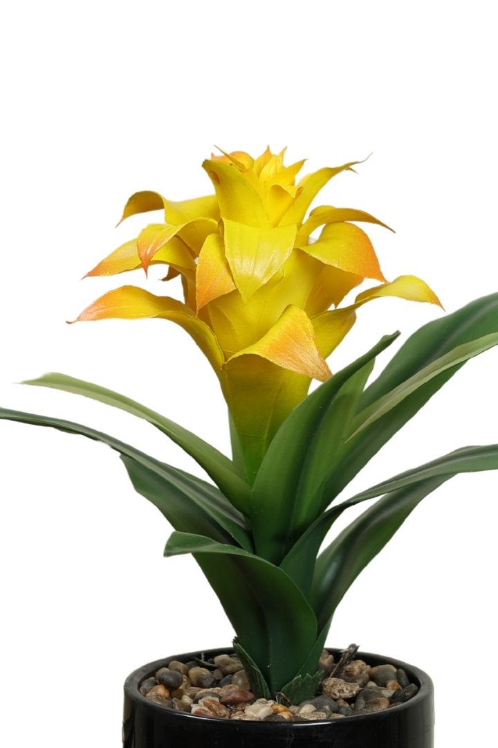 Natural Beauty of a Blooming Artificial Bonsai