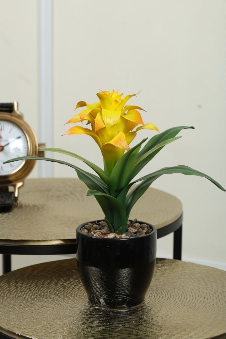 Natural Beauty of a Blooming Artificial Bonsai