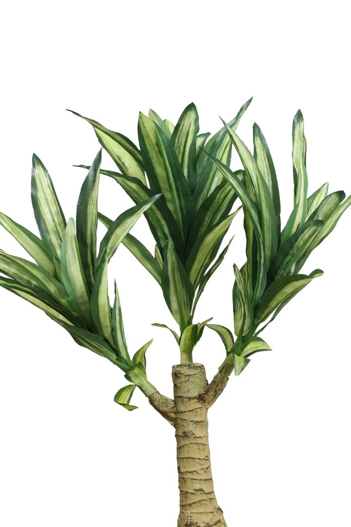 Graceful Artificial Bonsai Plant