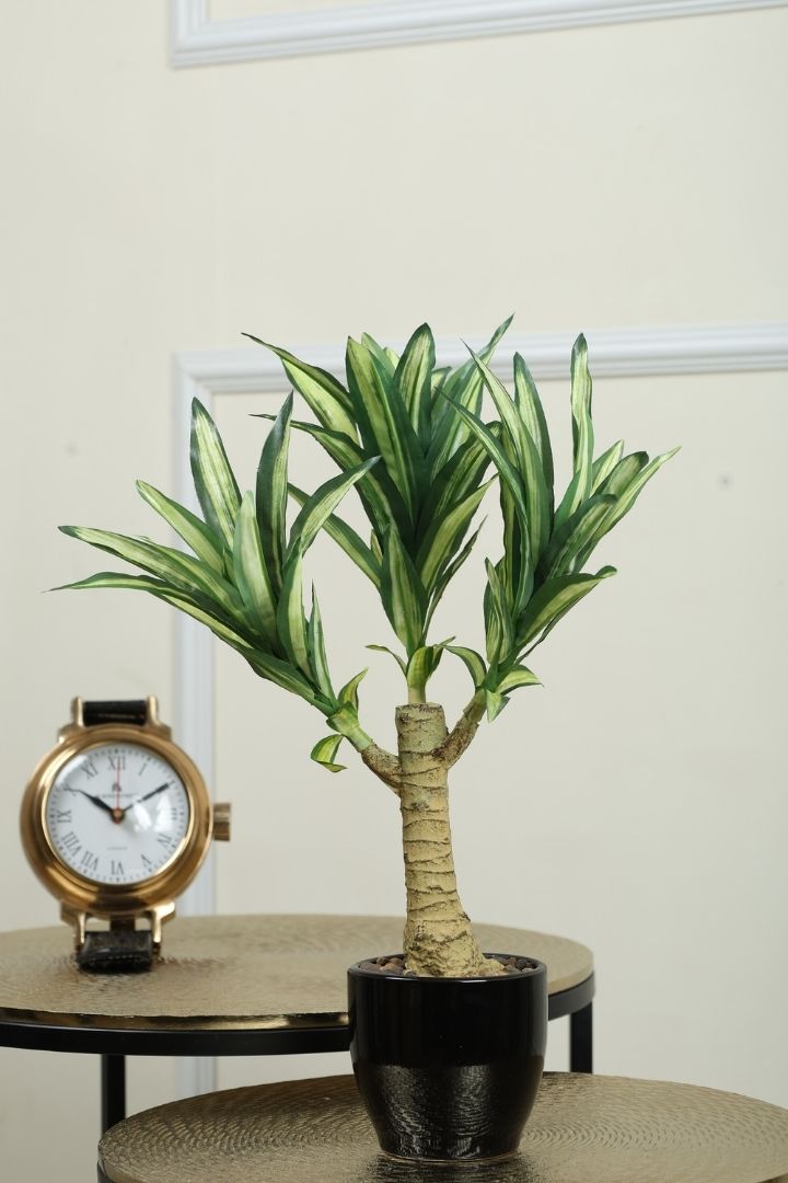 Graceful Artificial Bonsai Plant