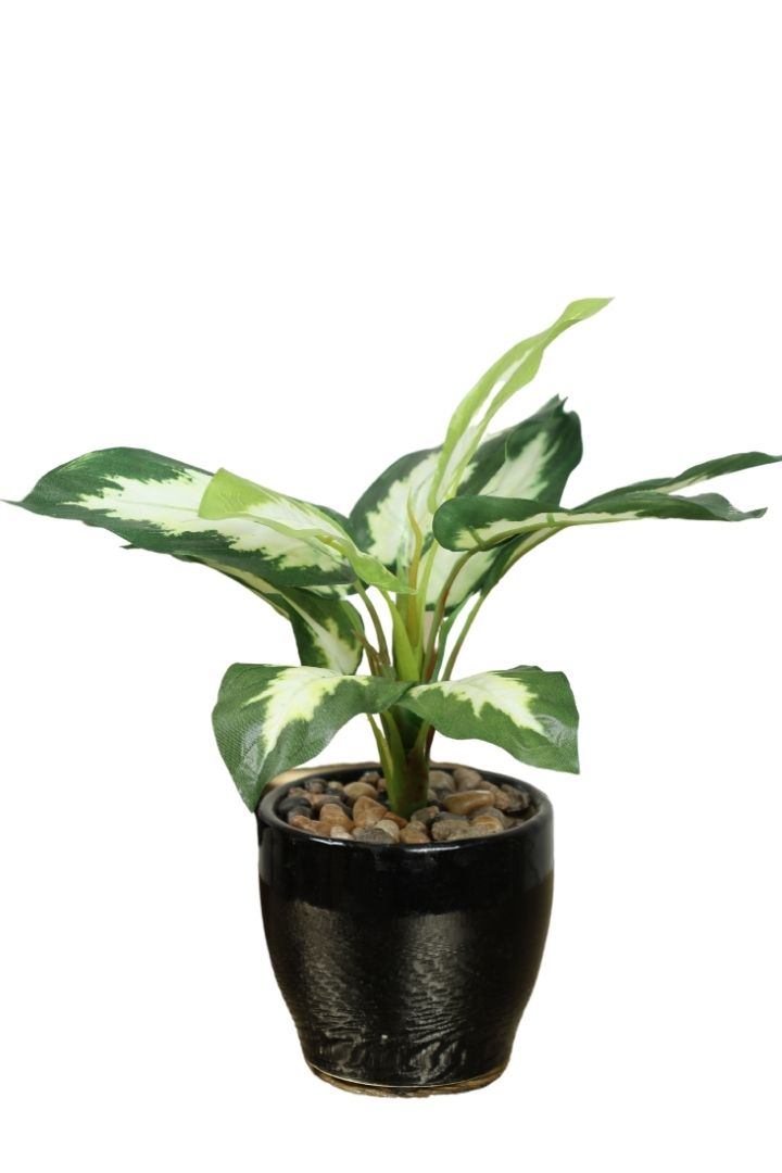 Artificial Bonsai Plant – A Touch of Nature