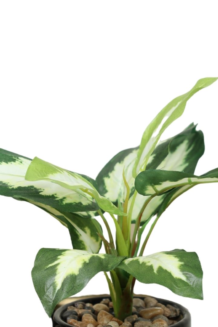 Artificial Bonsai Plant – A Touch of Nature