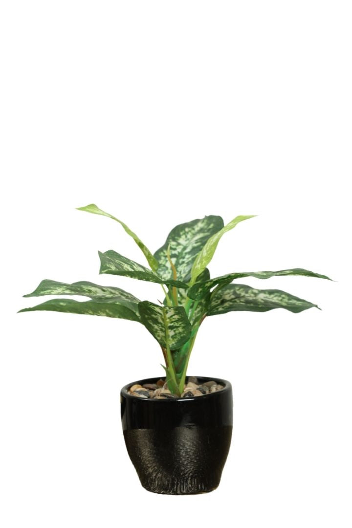 Artificial Bonsai Plant – A Touch of Nature