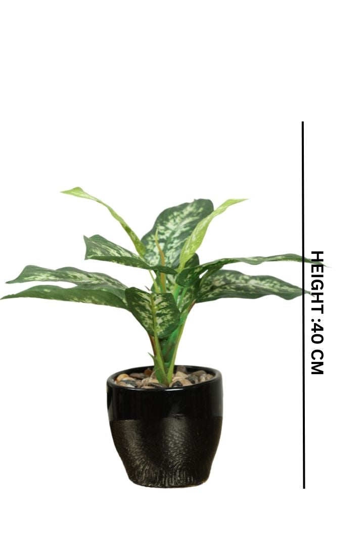 Artificial Bonsai Plant – A Touch of Nature