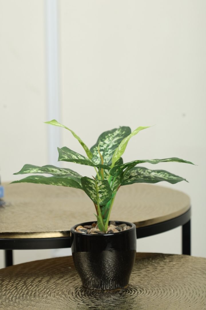 Artificial Bonsai Plant – A Touch of Nature