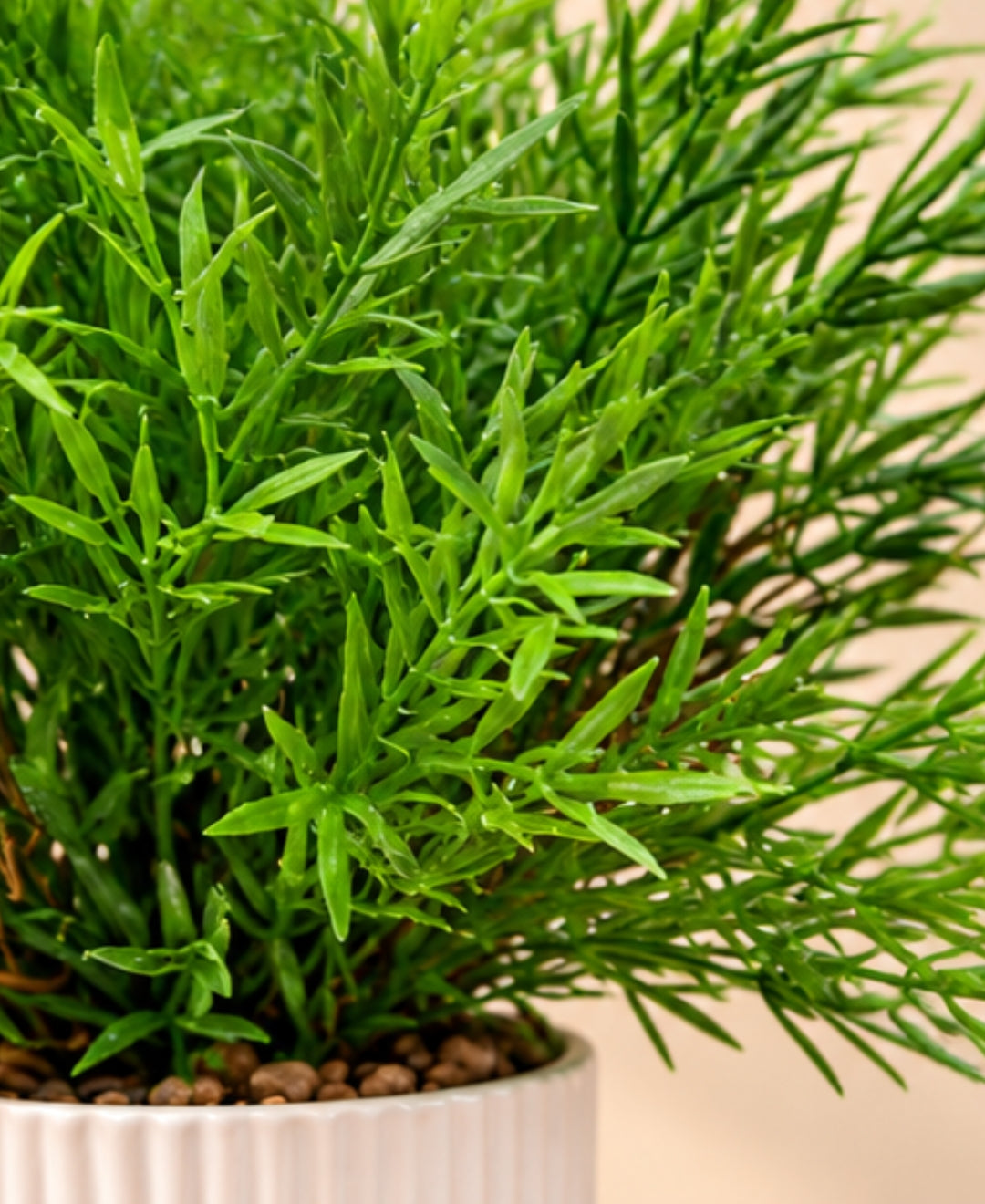 Artificial Rosemary Plant in White Ribbed Ceramic Pot