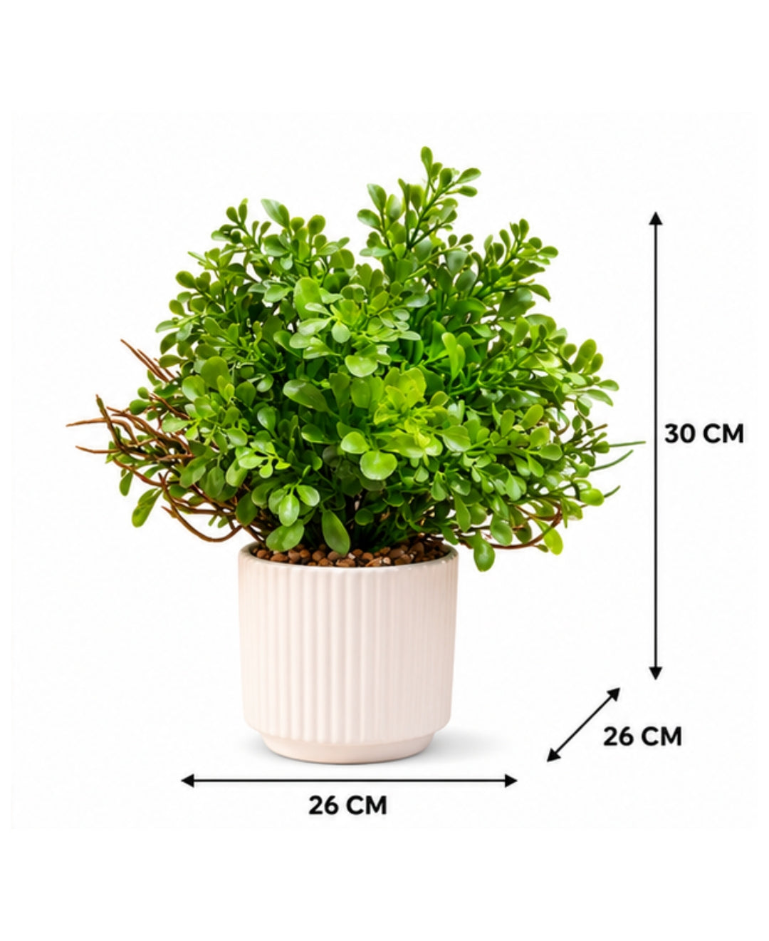 Artificial Boxwood Bonsai in White Ribbed Ceramic Pot(Set of 1)