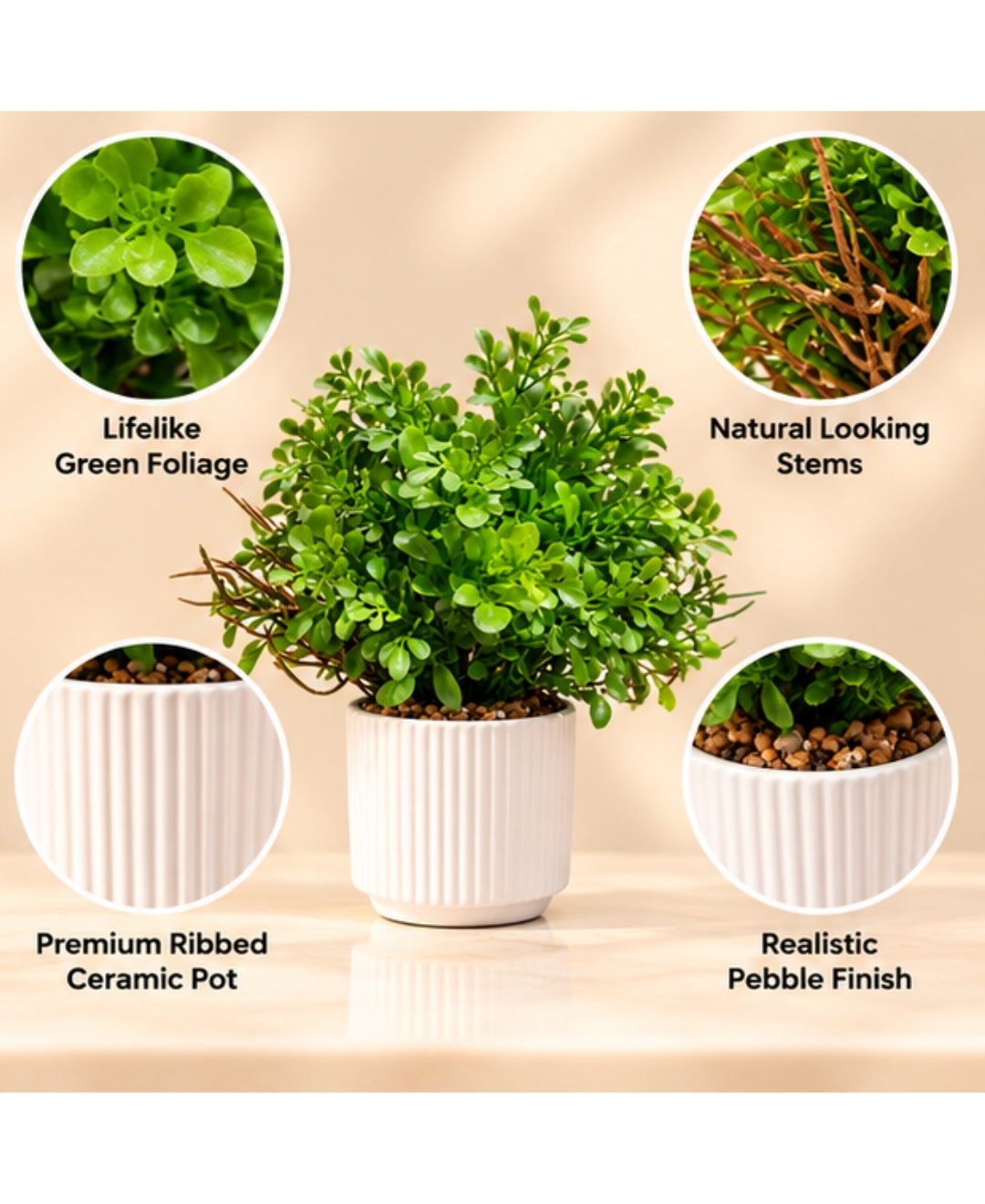 Artificial Boxwood Bonsai in White Ribbed Ceramic Pot(Set of 1)