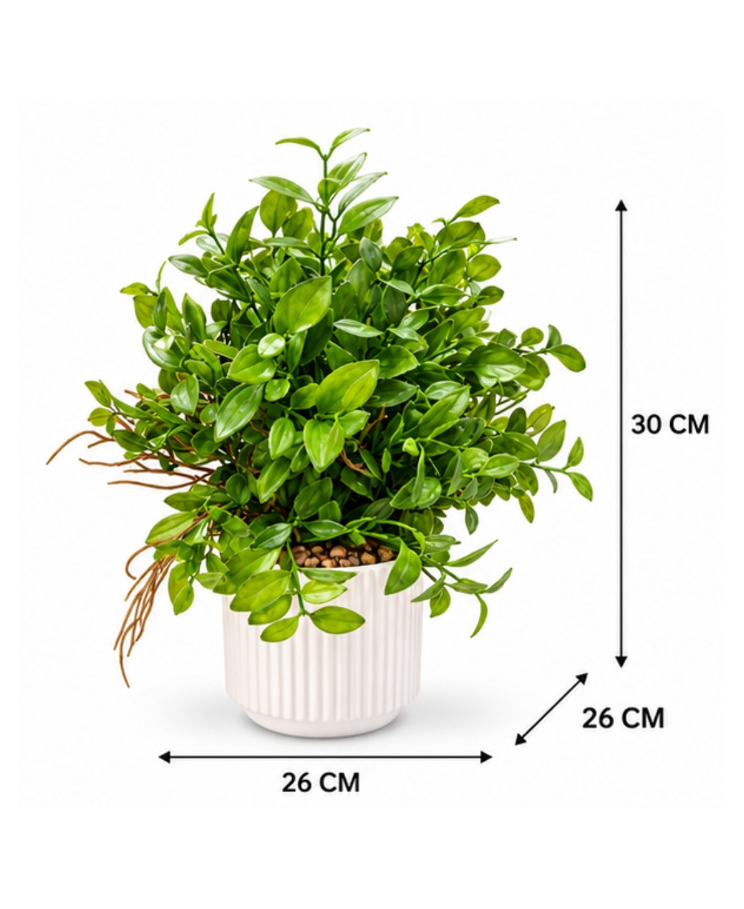 Artificial Pittosporum Bonsai in White Ribbed Ceramic Pot(Set of 1)