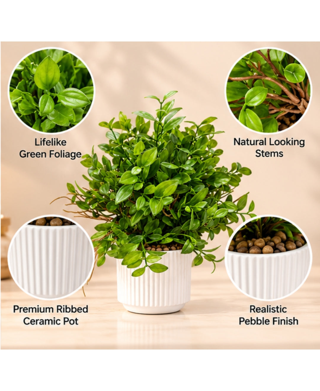 Artificial Pittosporum Bonsai in White Ribbed Ceramic Pot(Set of 1)
