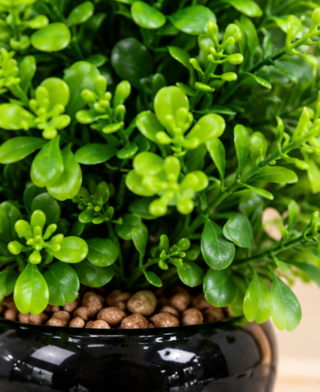 Artificial Boxwood Topiary in Glossy Black Ceramic Pot