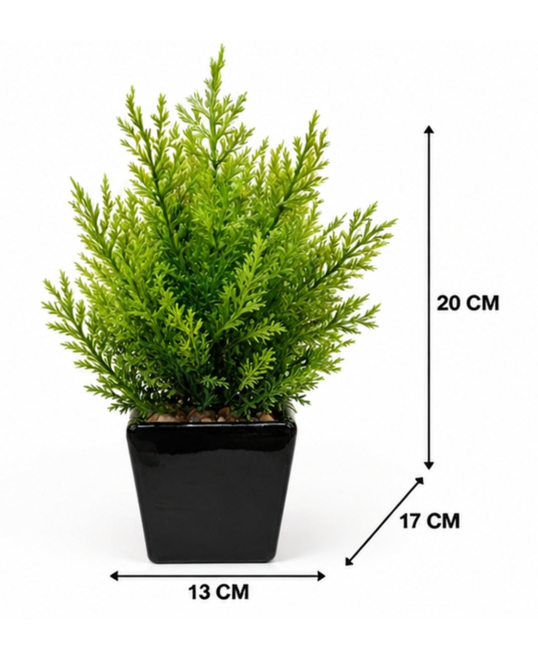 Artificial Cypress Plant in Glossy Black Square Ceramic Pot