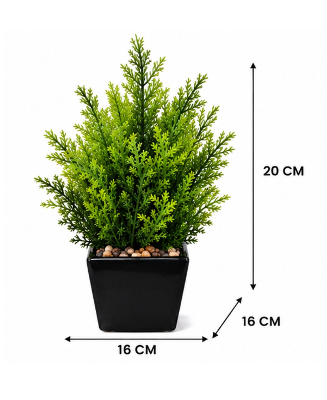 Artificial Cedar Pine Plant in Glossy Black Square Ceramic Pot