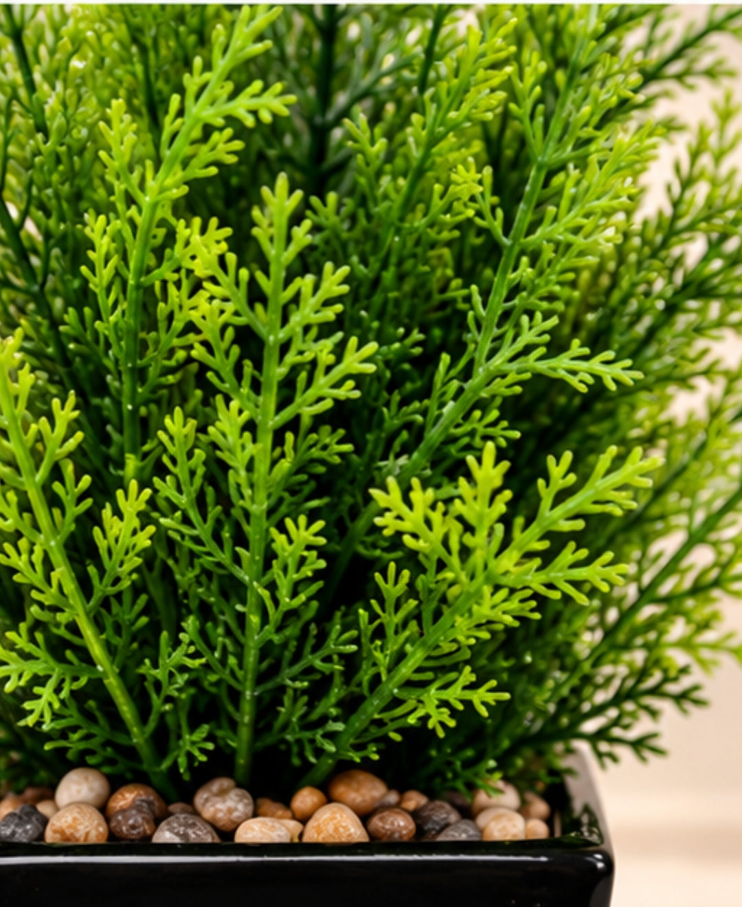 Artificial Cedar Pine Plant in Glossy Black Square Ceramic Pot