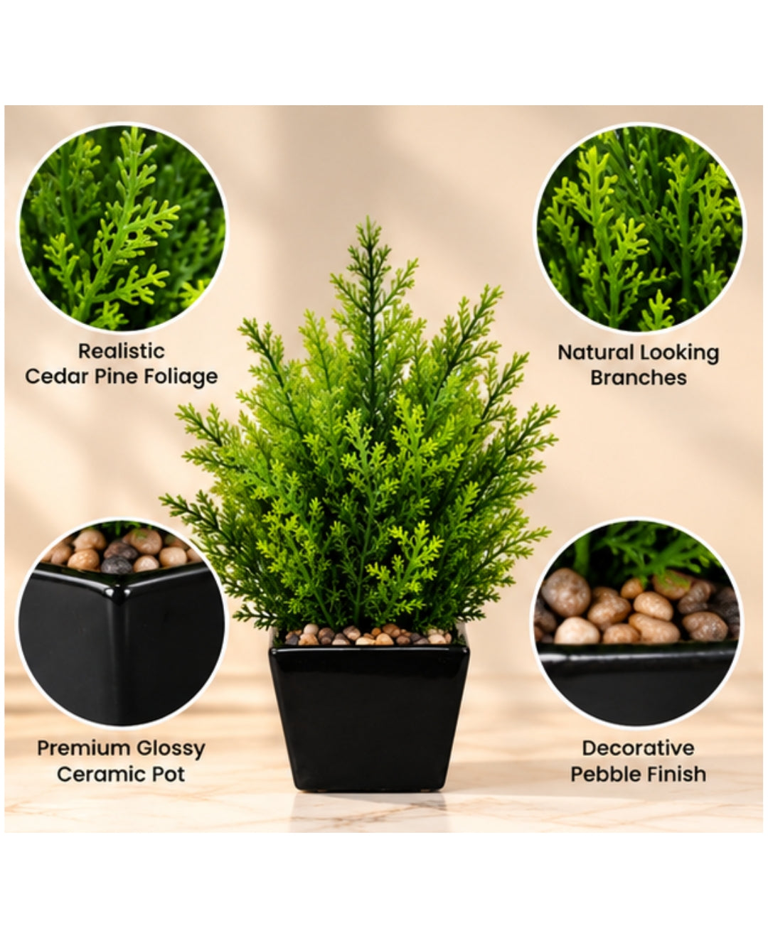 Artificial Cedar Pine Plant in Glossy Black Square Ceramic Pot