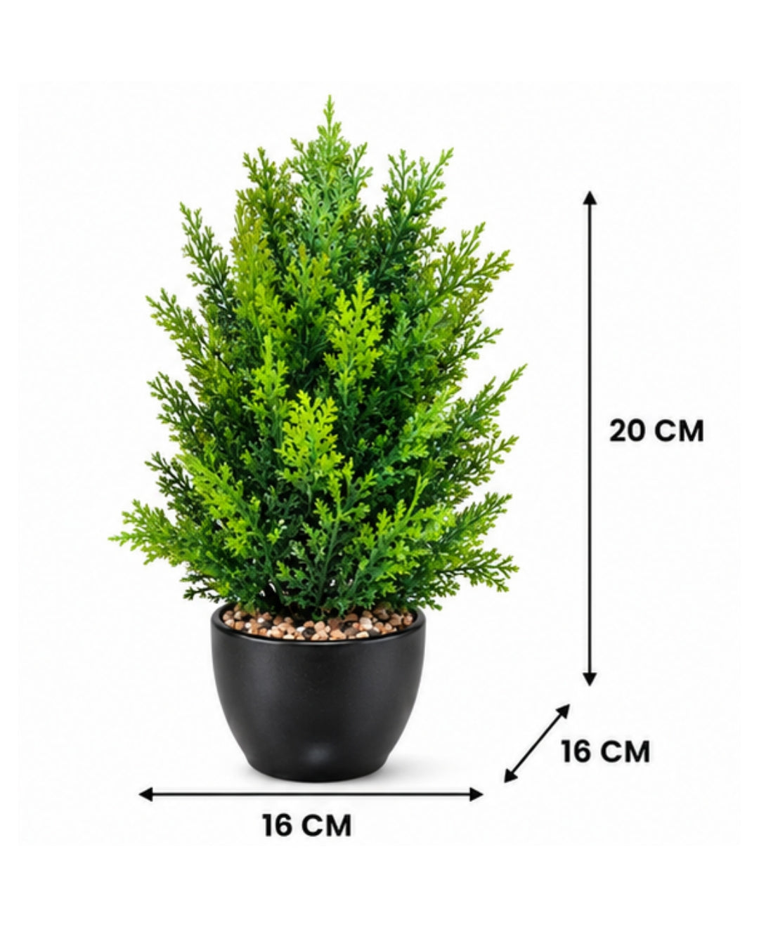 Artificial Lemon Cypress Tree in Glossy Black Round Ceramic Pot