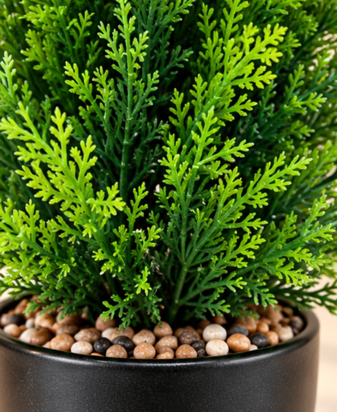 Artificial Lemon Cypress Tree in Glossy Black Round Ceramic Pot
