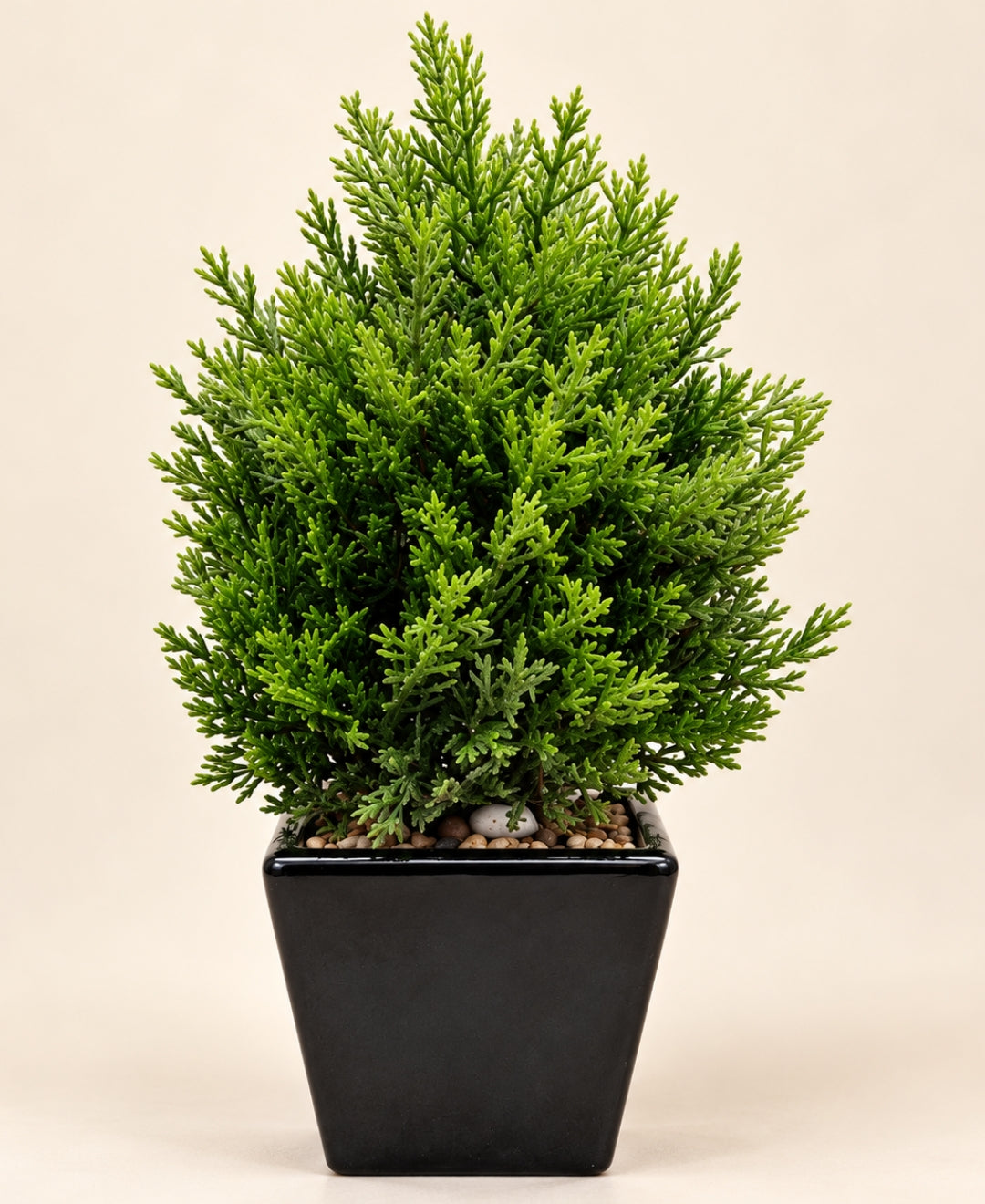 Artificial Juniper Cone Topiary in Black Square Ceramic Pot
