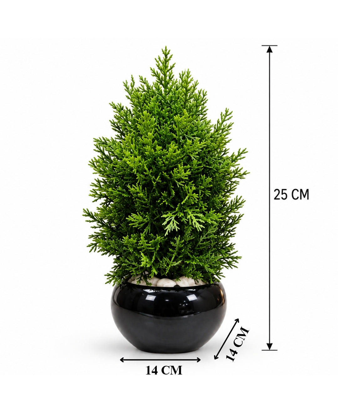 Artificial Thuja Cone Tree in Glossy Black Round Bowl Pot