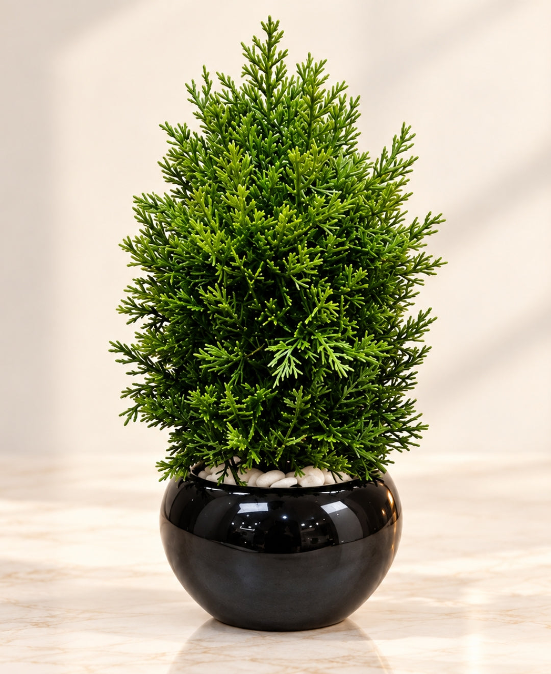 Artificial Thuja Cone Tree in Glossy Black Round Bowl Pot